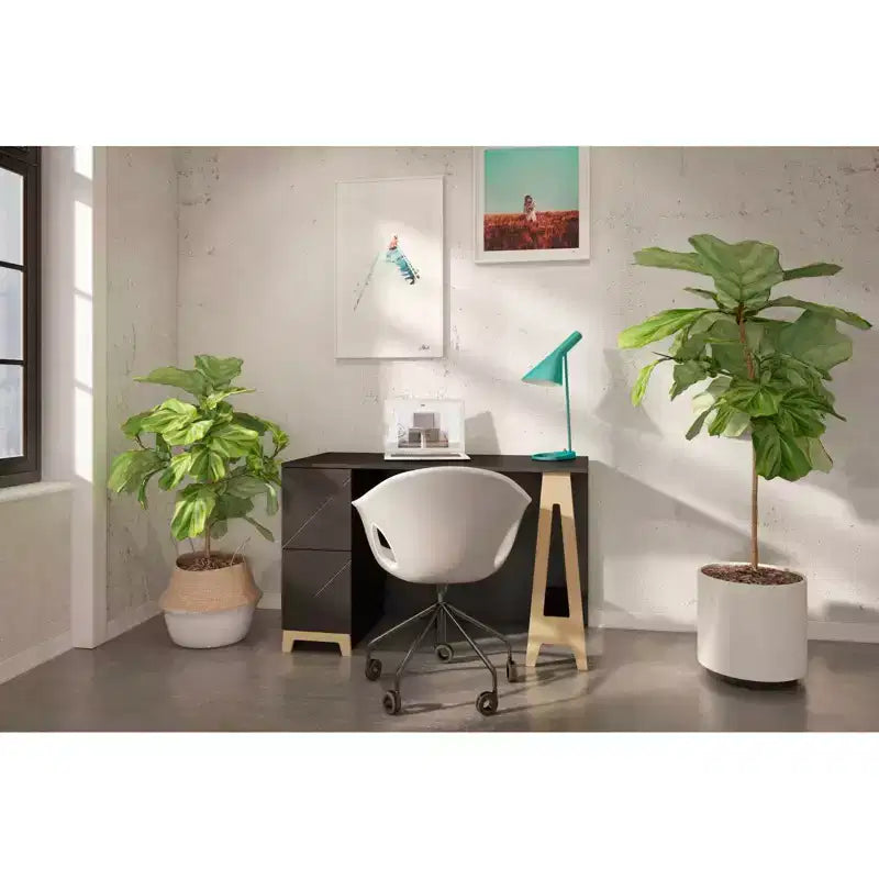 Black & Birch 2-Drawer Desk with Open Storage Shelf for 1